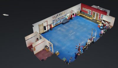 Louisville Panthers Tae Kwon Do 3D Model